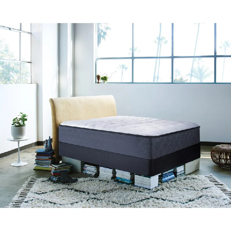 Sealy Posturepedic Happy Canyon Firm Queen-size Mattress - White/Black