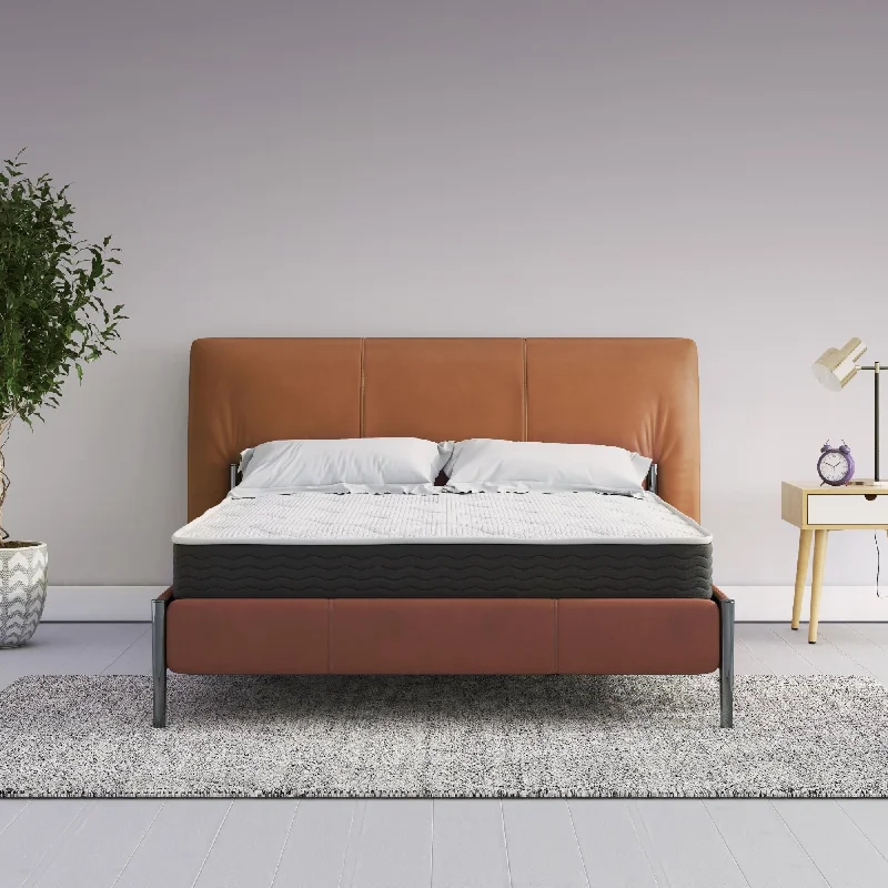 Signature Sleep Vividly 8-inch Independently Encased Coil and Charcoal Infused Memory Foam Hybrid Mattress