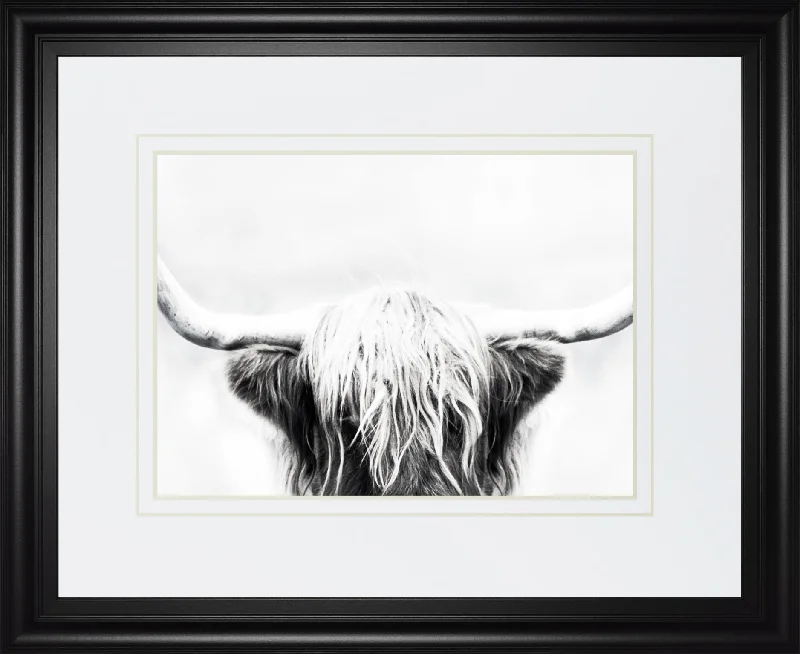 34x40 Longhorn By Danita Delimont - Dark Gray