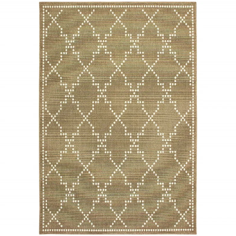 4' X 6' Geometric Stain Resistant Indoor / Outdoor Area Rug - Tan